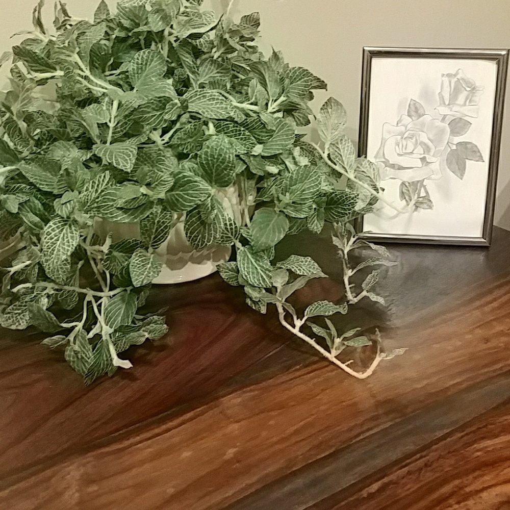 Meet your Posher, Carie